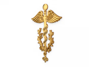 Relief Caduceus carved 03 3D Model