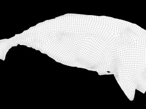 mackerel fried 3D Model