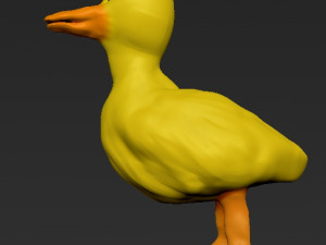 duck 3D मॉडल