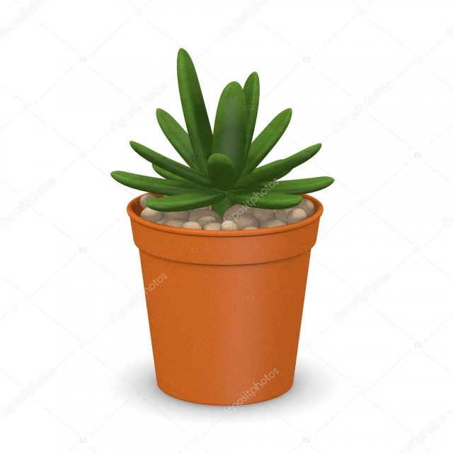 plants Model 3D .c4d .max .obj .3ds .fbx .stl .blend 