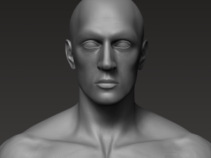 anatomically correct muscular male body low and high poly low-poly 3D Model