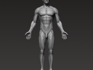 anatomically correct muscular male body low and high poly low-poly Modelo 3D