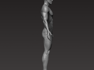 anatomically correct muscular male body low and high poly low-poly Modelo 3D