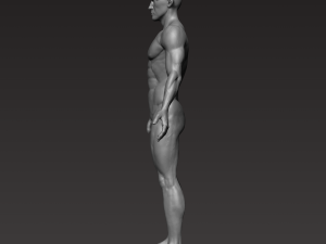 anatomically correct muscular male body low and high poly low-poly Modelo 3D