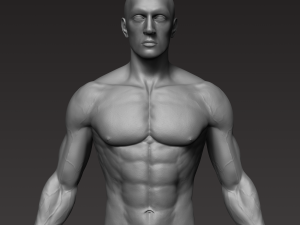 anatomically correct muscular male body low and high poly low-poly Modelo 3D