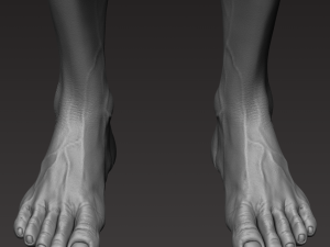 anatomically correct muscular male body low and high poly low-poly Modelo 3D