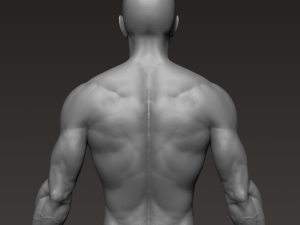 anatomically correct muscular male body low and high poly low-poly Modelo 3D
