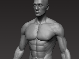 anatomically correct muscular male body low and high poly low-poly Modelo 3D