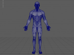 anatomically correct muscular male body low and high poly low-poly Modelo 3D