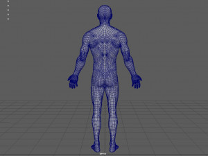 anatomically correct muscular male body low and high poly low-poly Modelo 3D
