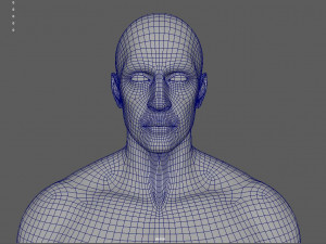 anatomically correct muscular male body low and high poly low-poly Modelo 3D