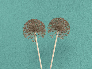 decorative set mj02 3D Model