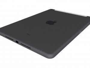 apple ipad 8 10 2 2020 wifi and cellular space gray 3D Model