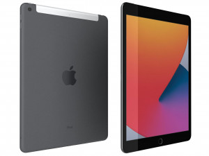 apple ipad 8 10 2 2020 wifi and cellular space gray 3D Model