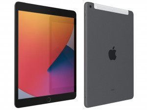 apple ipad 8 10 2 2020 wifi and cellular space gray 3D Model