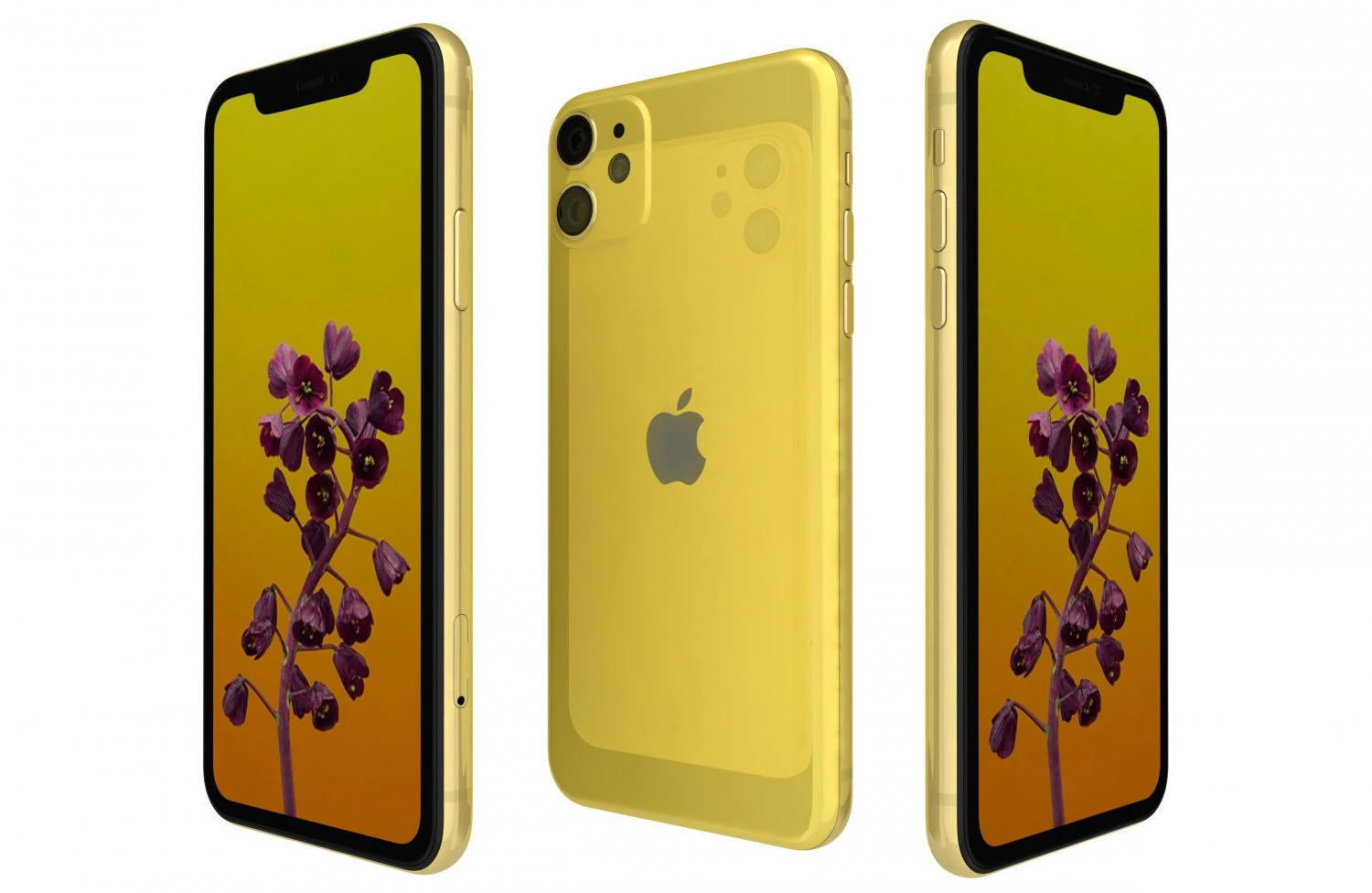 apple iphone 11 yellow 3D Model .c4d .max .obj .3ds .fbx .stl .blend 