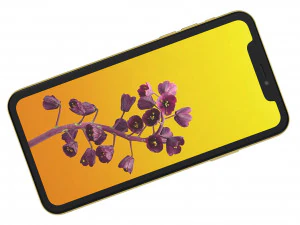 apple iphone 11 yellow 3D Model