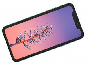apple iphone 11 green Modelo 3D