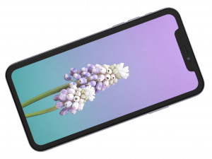 apple iphone 11 purple 3D Model