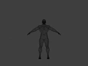 musculer man 3D Model