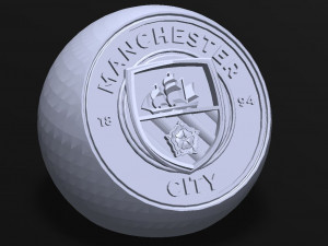 manchester city - 35 series Modèle 3D