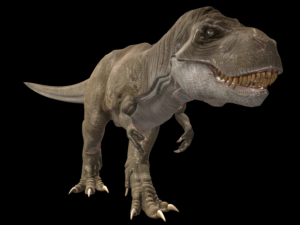 tyrannosarus rex Modello 3D