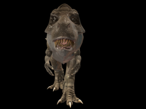tyrannosarus rex 3D Model