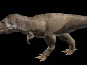 tyrannosarus rex 3D Model