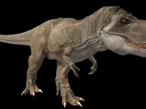 tyrannosarus rex 3D Model