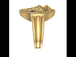 saibaba ring 3D Model
