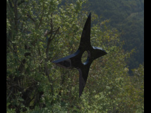 shurikens pack Modello 3D