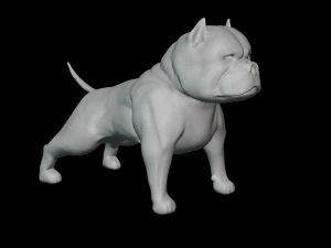 अमेरिकी बदमाश 3D प्रिंट मॉडल