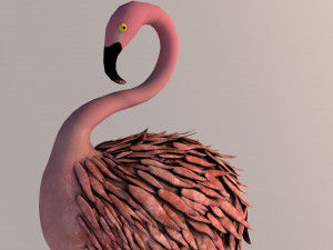flamingo Model 3D