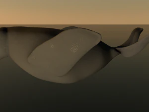 seal 3D Model