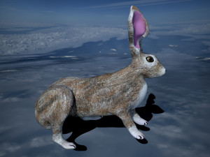 hare Modelo 3D
