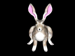 hare 3D Model