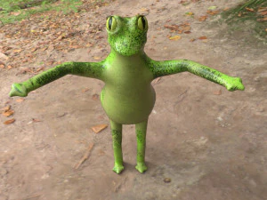 sapo engra&ccedil;ado Modelo 3D