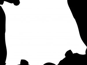 sapo engra&ccedil;ado Modelo 3D