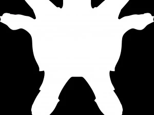 sapo engra&ccedil;ado Modelo 3D