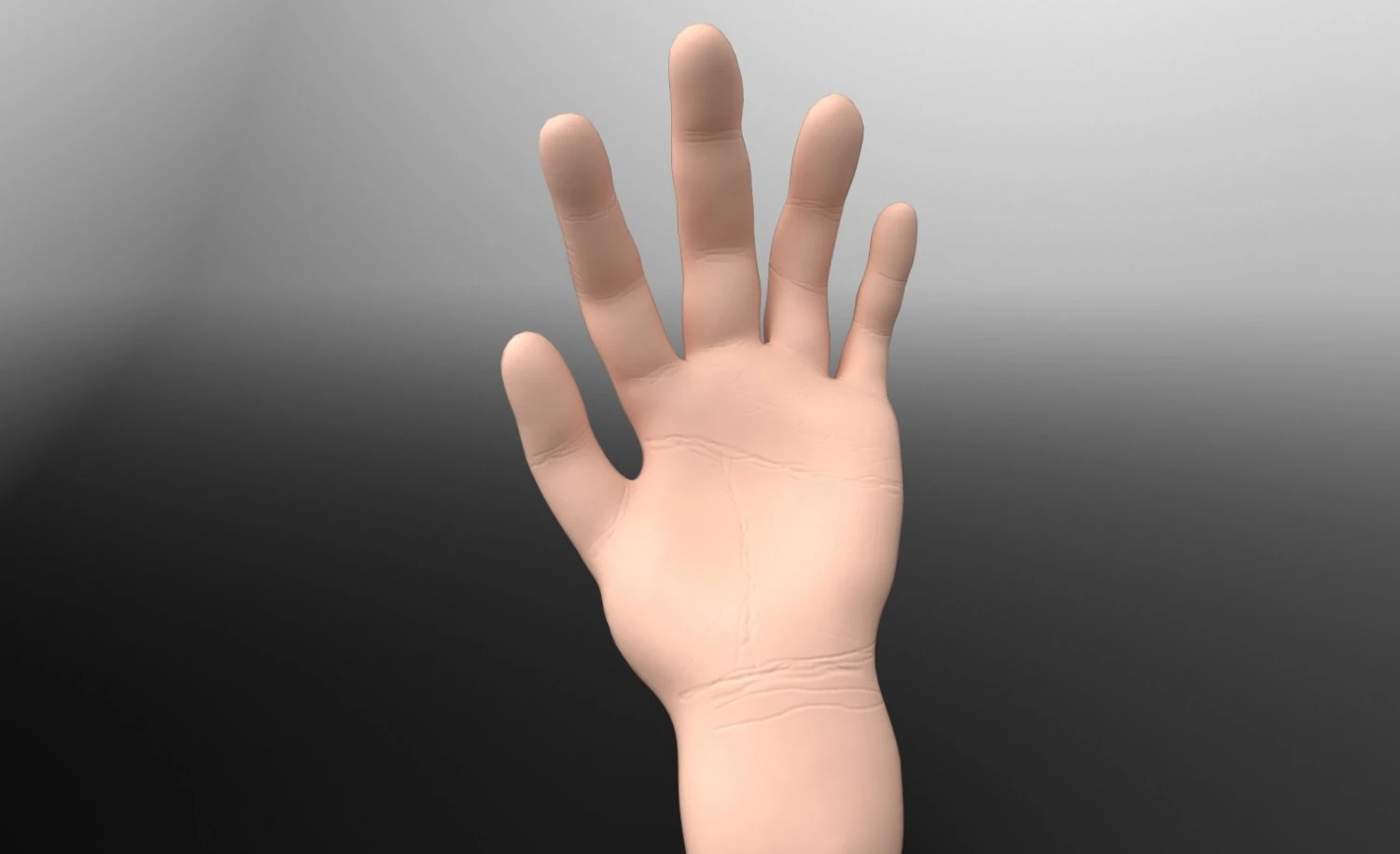 mano Modelo 3D .c4d .max .obj .3ds .fbx .stl .blend 