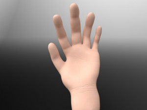 hand 3D 모델