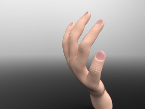 hand Model 3D