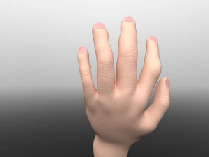 mano Modelo 3D