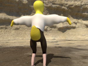 duckling in a shirt Model 3D