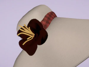 vintage hat 3D Model