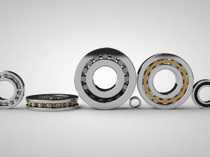 a set of ball and roller bearings of different designs 3D Model
