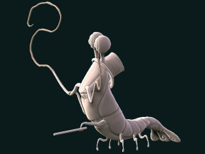 crustacis Modelo de Impressão 3D