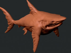 Shark Modèles 3D en vedette