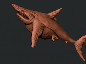 Shark 3D 打印模型