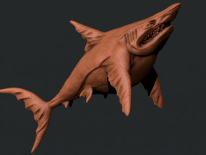 Shark 3D 打印模型